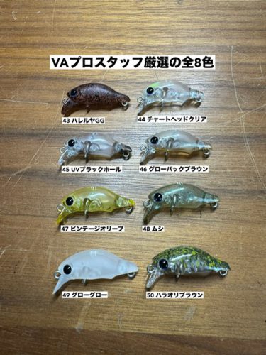 ホワイトキメラのご予約番号をお持ちのお客様！ – maniac's BLOG