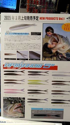 ワイルドジョーカー入荷 – maniac's BLOG