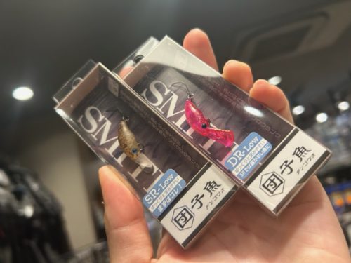 ダンゴウオ来ました☆ – maniac's BLOG